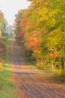 USA, Michigan, Ottawa National Forest. Landscape of road through forest in autumn. Art Print